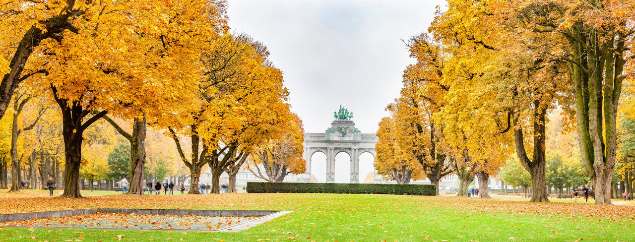 Fall trees in Parc du Cinquantenaire in Brussels, Belgium