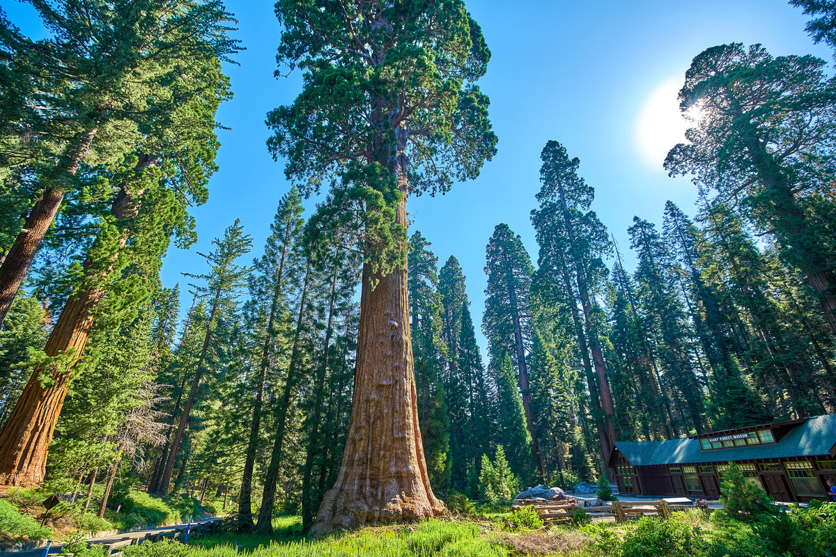 Maps Of Sequoia National Park Avenza Maps 