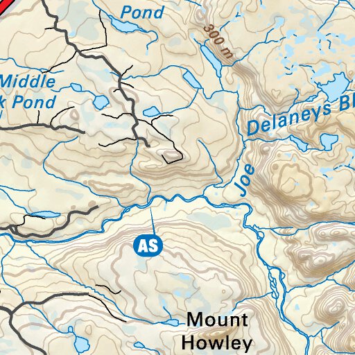 NLNL19 Stephenville Newfoundland And Labrador Topo Map By Backroad ...