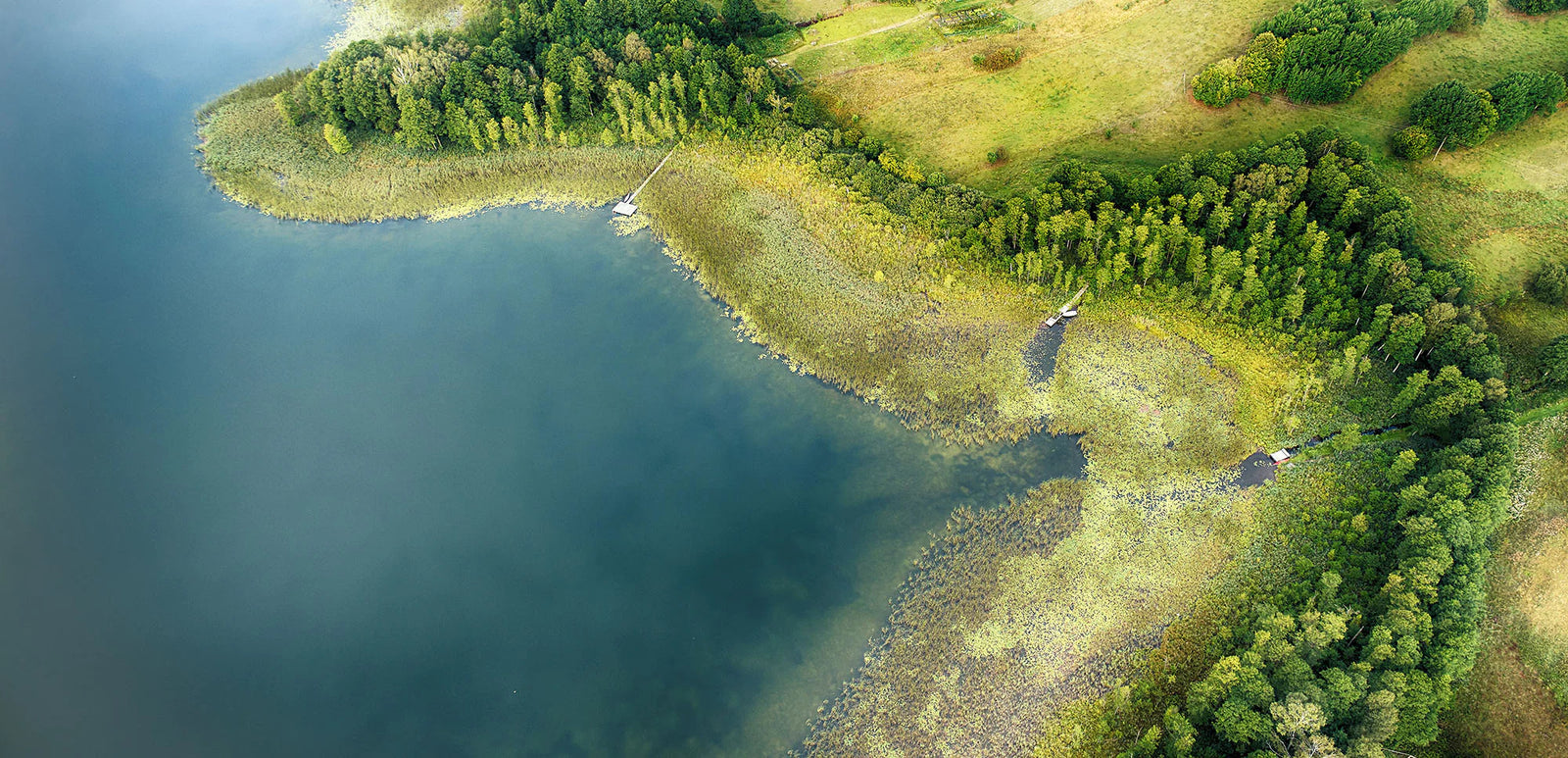 Aerial landscape from a drone at a lake shore
