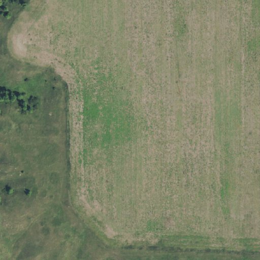 Jamestown Reservoir Pelican Point Map by North Dakota Game and Fish