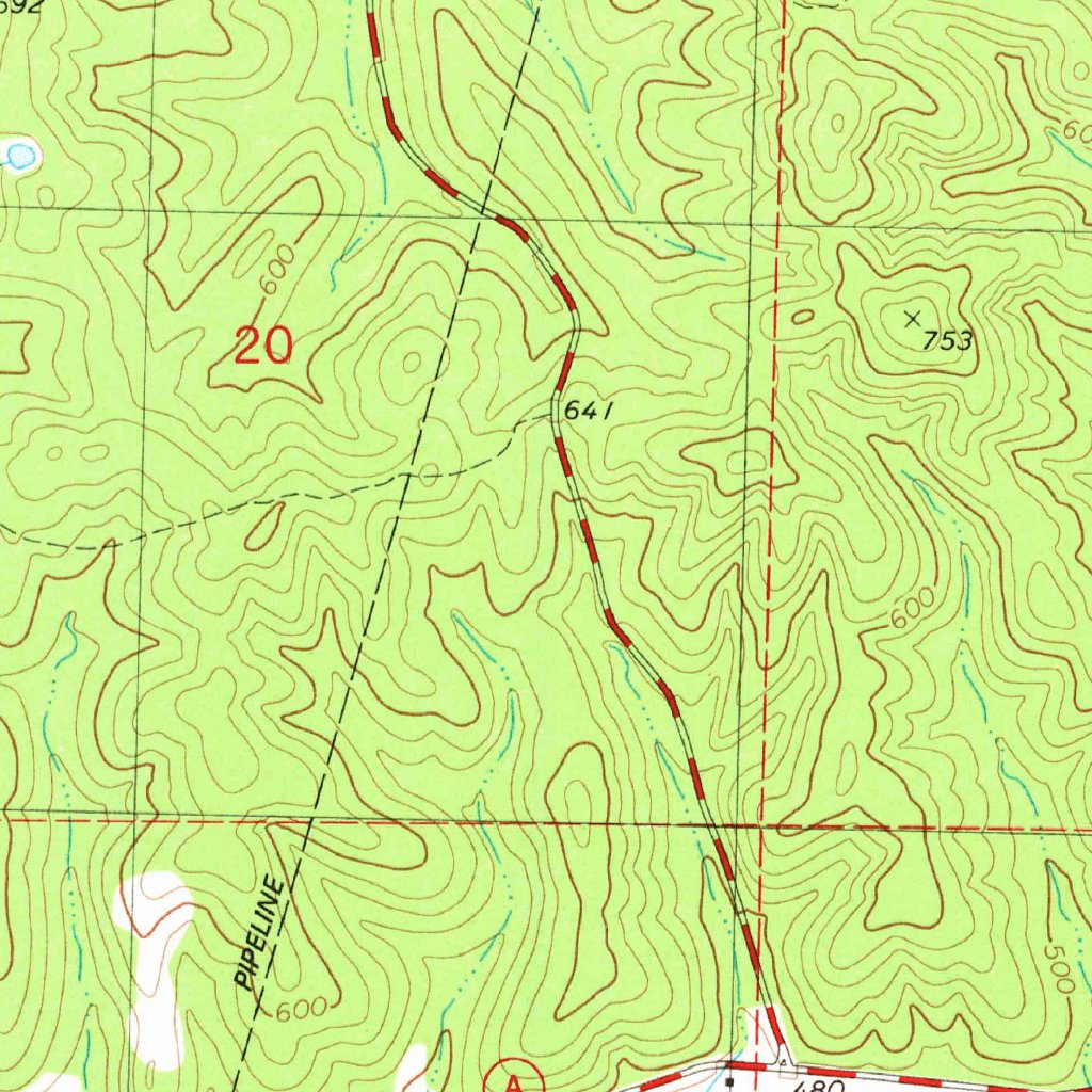 Ellsinore, MO (1980, 24000Scale) Map by United States Geological