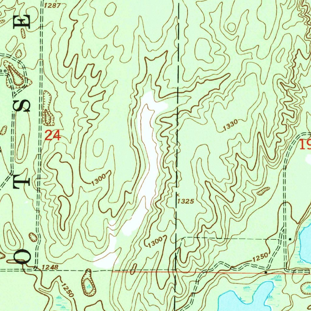 Turtle Lake, MI (1950, 24000Scale) Map by United States Geological