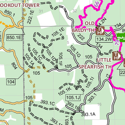 US Forest Service R2 Rocky Mountain Region Black Hills NF - Wyoming - Recreation Map digital map