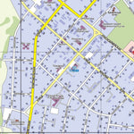 Waldin Хвойная (Новгородская обл.), адресный план. Khvoynaya (Novgorodskaya Oblast), Town Plan digital map