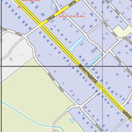 Waldin Любань, план города. Lyuban Town Map digital map