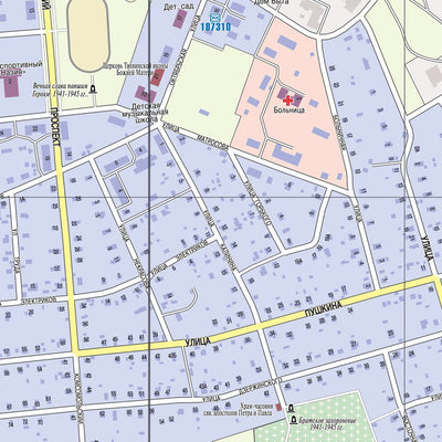 Waldin Назия, адресный план. Naziya (Leningradskaya Oblast) Town Plan digital map