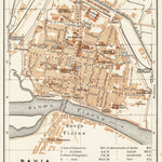 Waldin Pavia city map, 1908 digital map