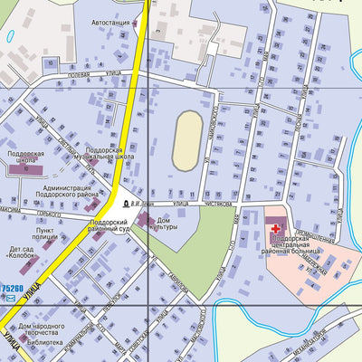 Waldin Поддорье (Новгородская обл.), адресный план. Poddorye (Novgorodskaya Oblast) Town Plan digital map