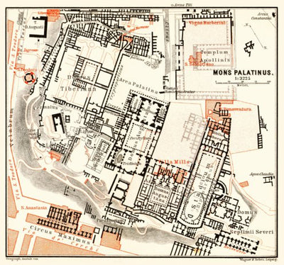 Waldin Rome, the Palatine (Mons Palatinus), 1898 digital map