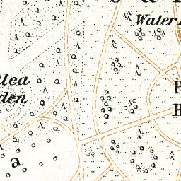 Waldin Royal Botanic Gardens Kew map, 1909 digital map
