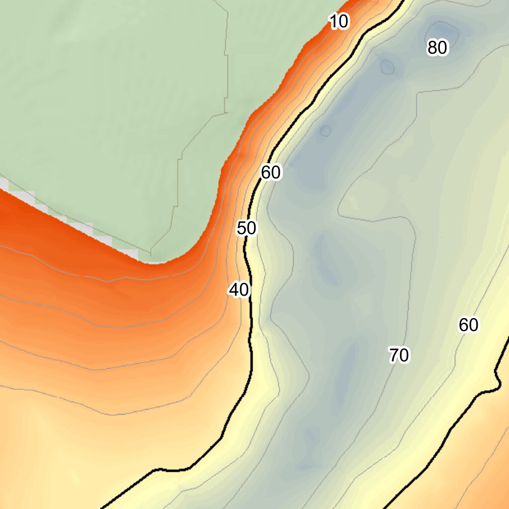 Mount Storm Lake Fishing Guide (Large) Map by WV Division of Natural
