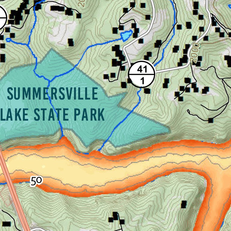 Summersville Lake Fishing Guide (Small) Map by WV Division of Natural