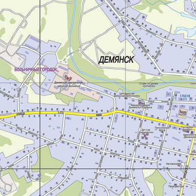 Демянск. Демянское городское поселение. Demyansk Town Map