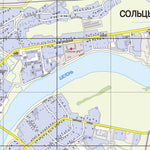 Сольцы. Солецкое городское поселение. Soltsy Town Map