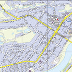 Сольцы. Солецкое городское поселение. Soltsy Town Map