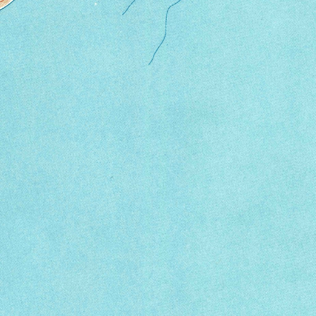 Naalehu, HI (1962, 24000Scale) Map by United States Geological Survey