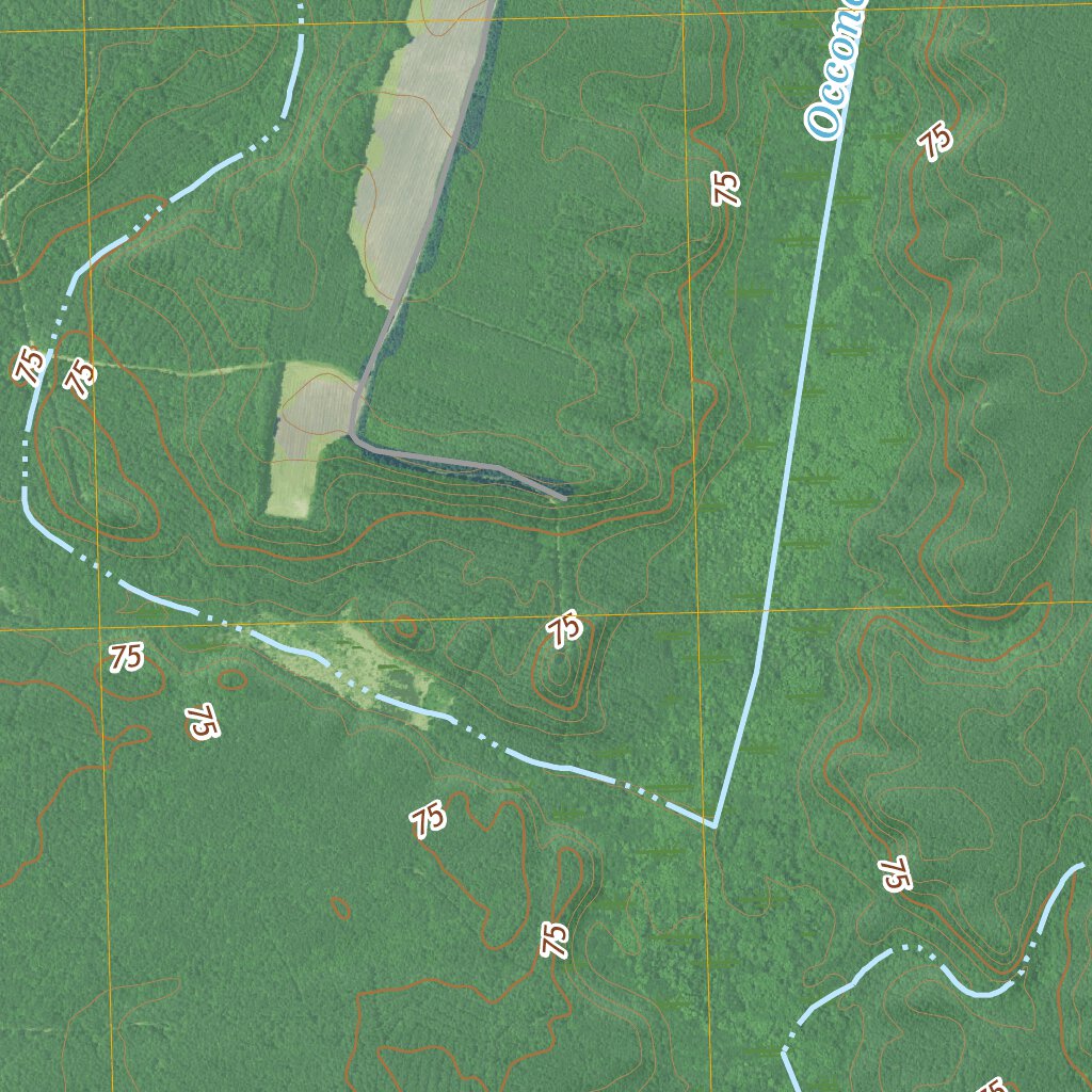 Weldon, NC (2019, 24000Scale) Map by United States Geological Survey