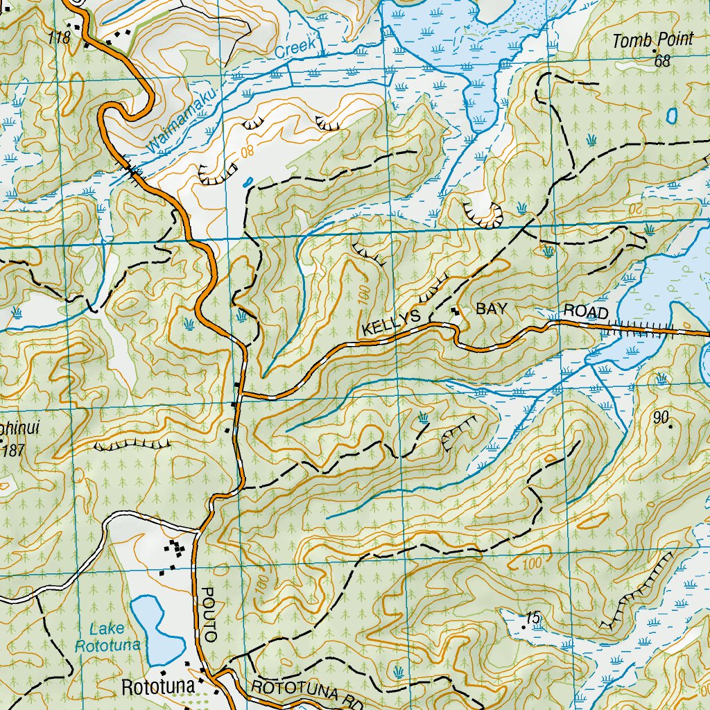 AY29 Ruawai Map by Land Information New Zealand Avenza Maps