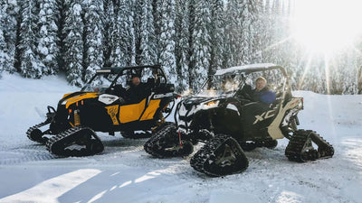 Vernon Snowmobile Association Trails at Silver Star Provincial Park Preview 3