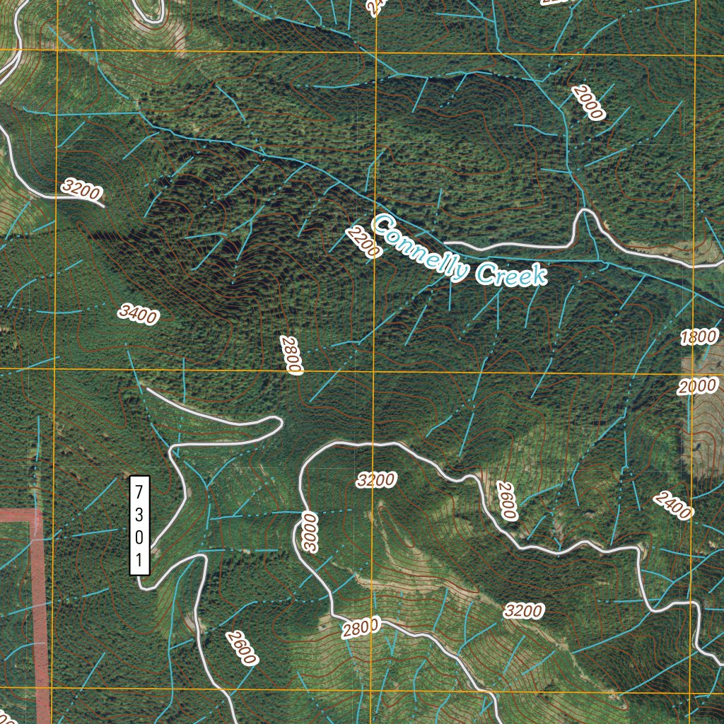 Morton, WA (2011, 24000Scale) Map by United States Geological Survey
