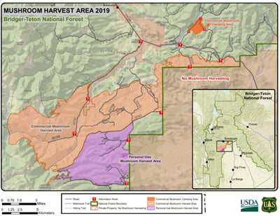 US Forest Service R4 Bridger-Teton National Forest Mushroom Harvest Vicinity Map digital map