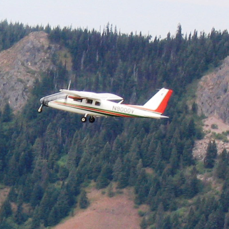 Aerial Detection Survey Quad Maps