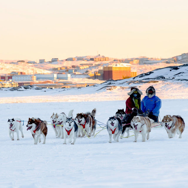 two indigenous people outside with huskies