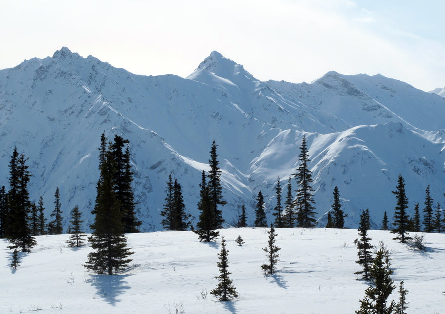 Mapping Alaska with BarnwellGeospatial