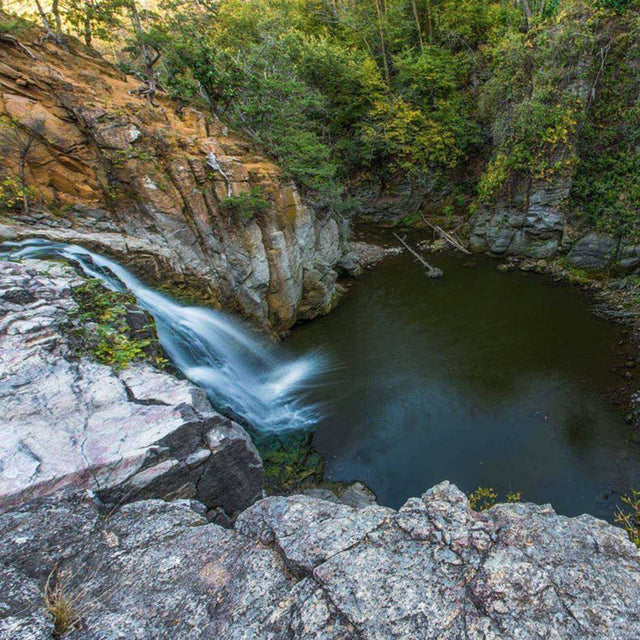 Free Entrance to Minnesota State Parks and Recreation Areas on Friday, Nov. 29