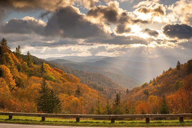 5 Must Hike Trails at Great Smoky Mountains National Park