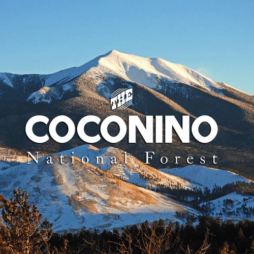 Coconino NF releases updated Motor Vehicle Use Map for forest travel