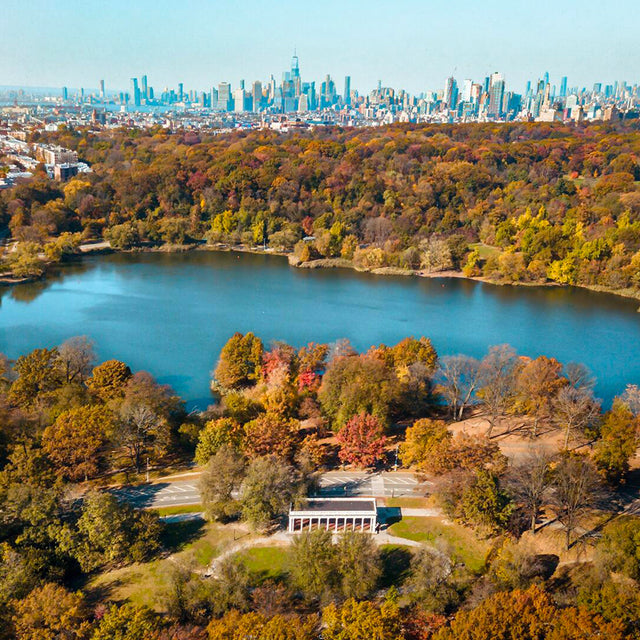 Explore the Outdoors: Fun Activities Near New York City