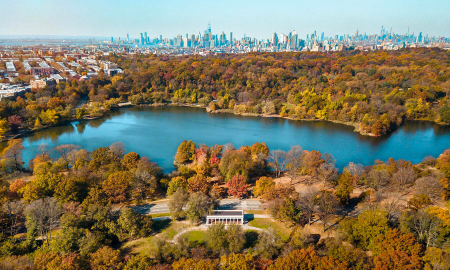 Aerial photo of Prospect Park