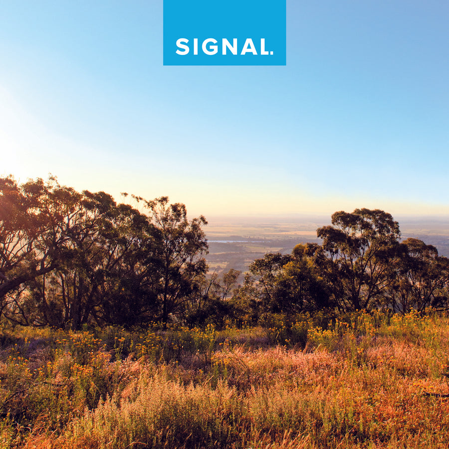 Australian Landscape with Signal Prospecting logo