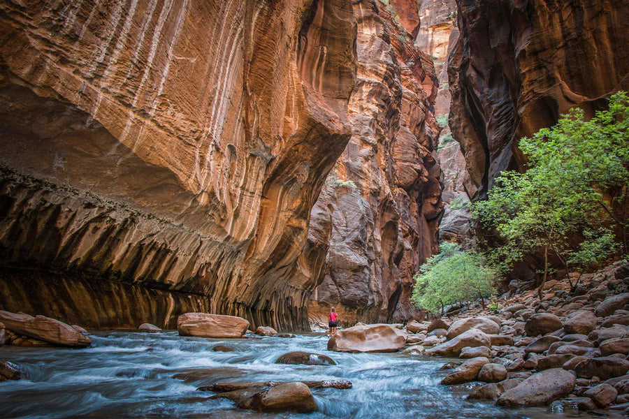 Best Autumn Hikes Across the U.S.: A Guide to Stunning Fall Foliage Trails