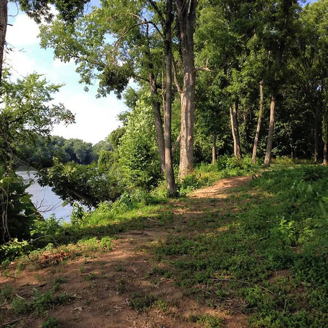 Park in Virginia