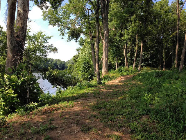 Virginia State Parks to Host Volunteering Events for National Public Lands Day