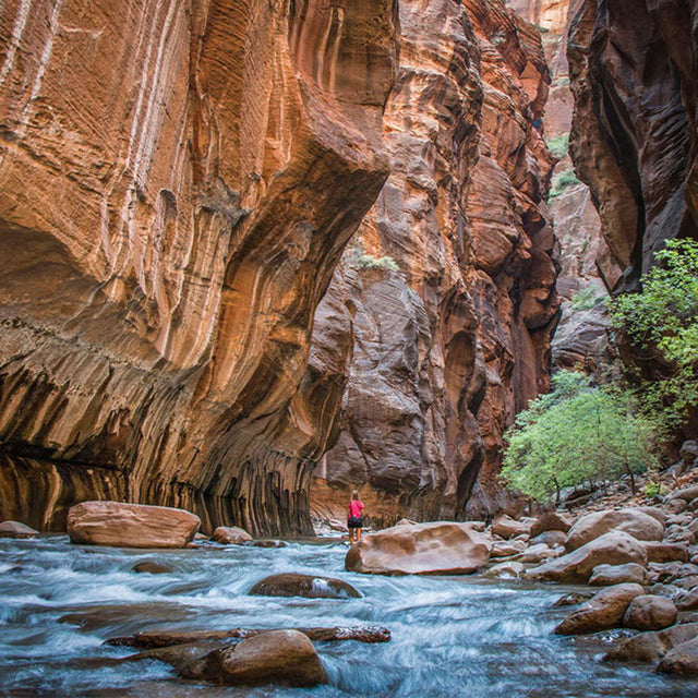 Views from Zion National Park