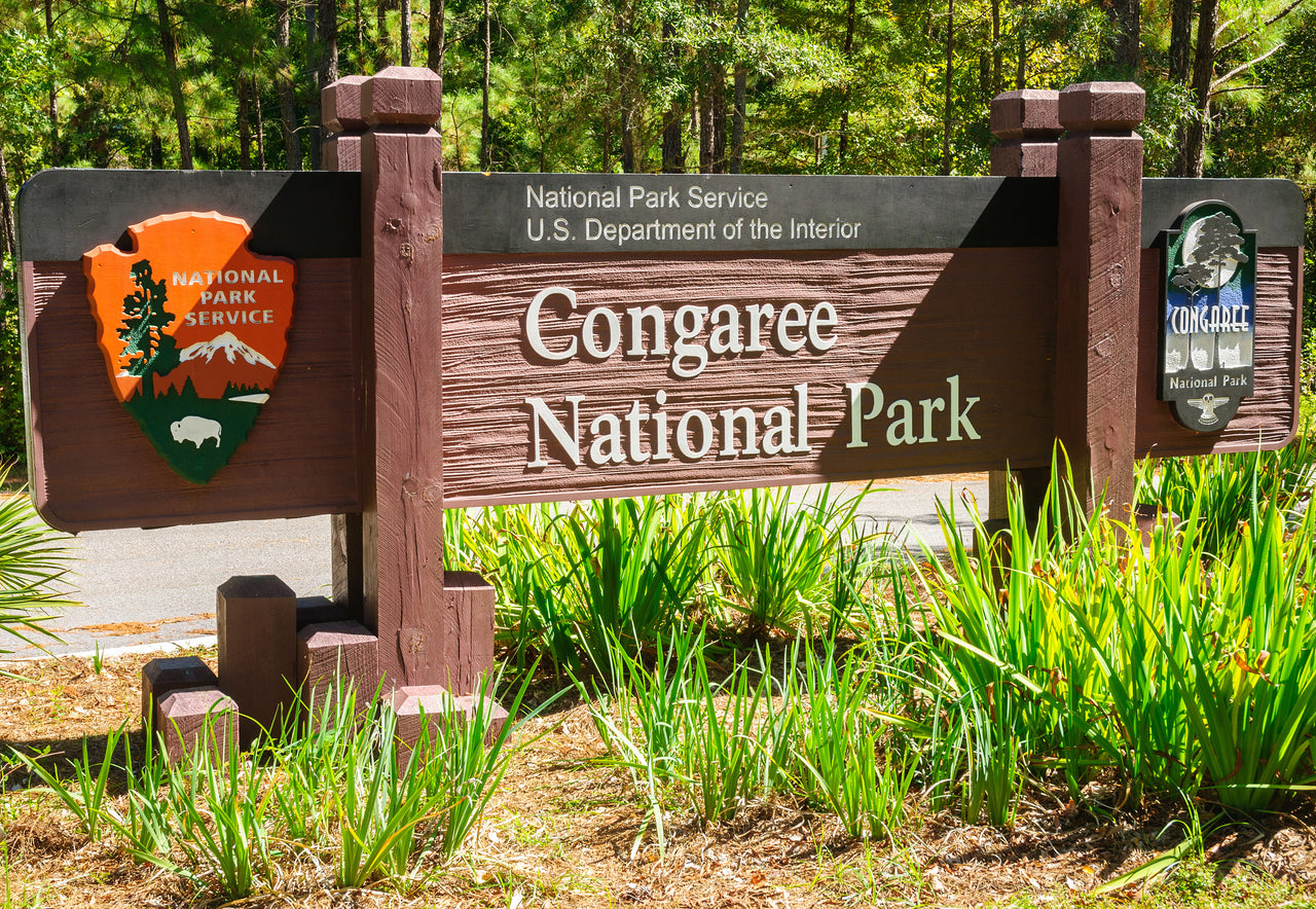 Congaree National Park