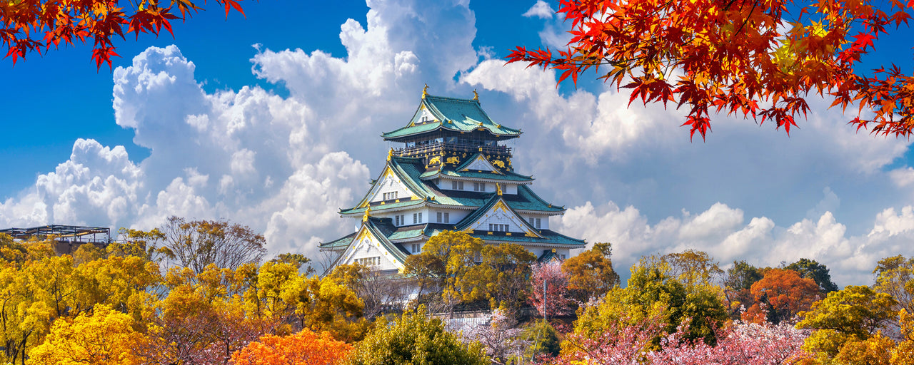 Colourful trees and castle in Osaka, Japan