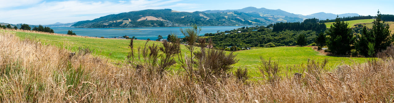View of greenery, sea and mountains in Otago
