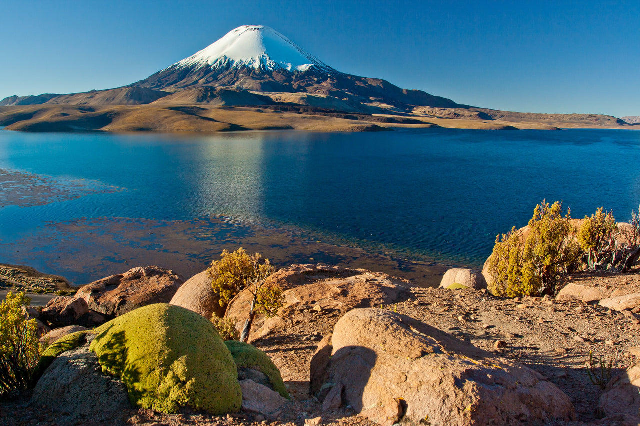 Parque Nacional Lauca