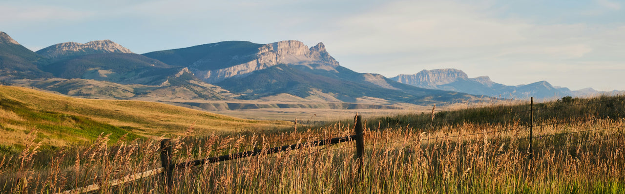 Early morning in the Montana plains looking at Sawtooth Ridge and Castle Reef