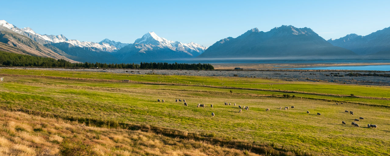 Landscape view of mountains and greenery in Mount Cook, Canterbury