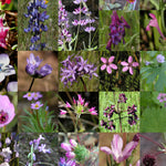 Annie Bidwell trail map, simple Preview 3