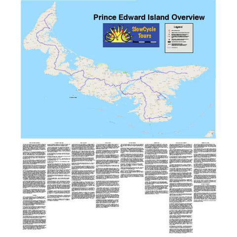 _PEI Overview copy Preview 1