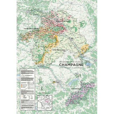 Wine Regions of Champagne - Régions Viticoles de Champagne Preview 1
