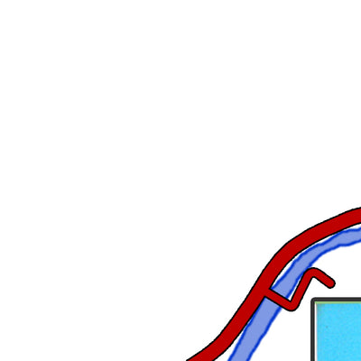 Chips Creek trailhead 2021 Preview 2