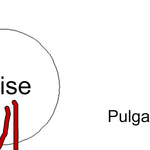 Pauls Creek Pt overview 2021 Preview 2